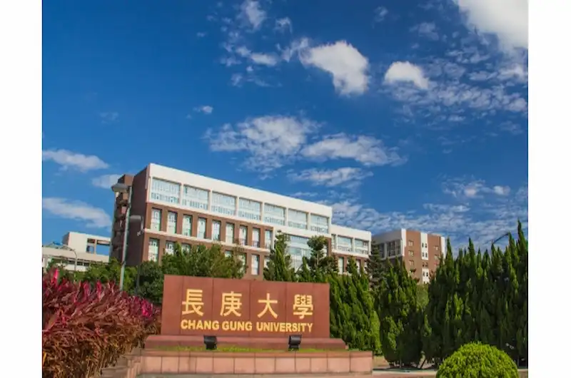 長庚大學