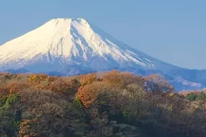 日本